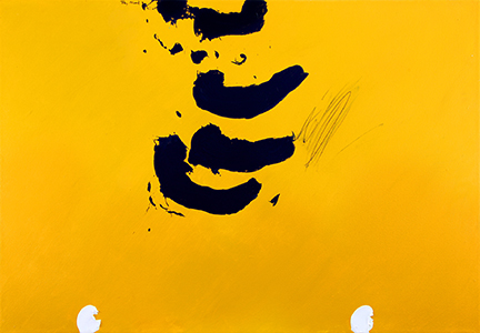 Ray Mead Yellowfield